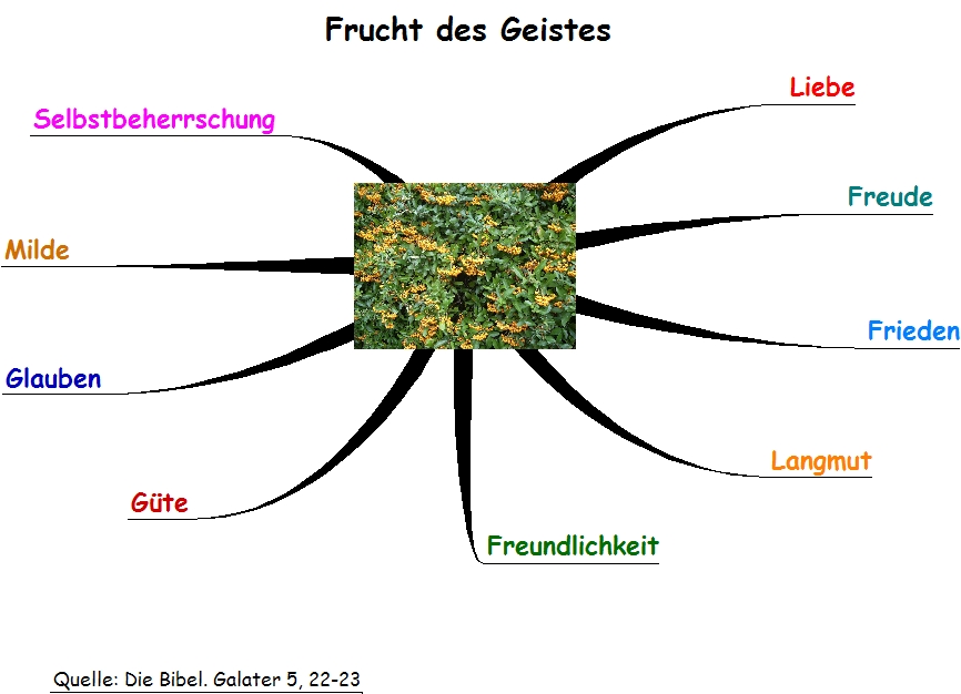 Frucht des Geistes (Galater 5, 22-23)
