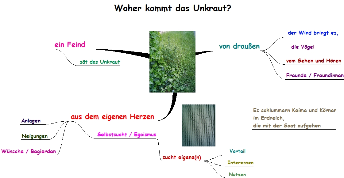 Woher kommt das Unkraut?