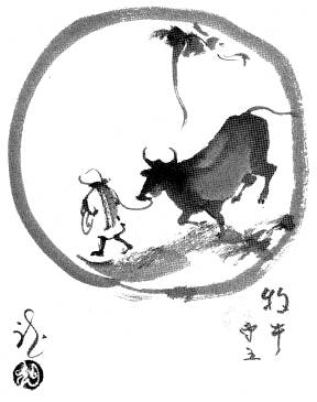 Das Zähmen des Ochsen