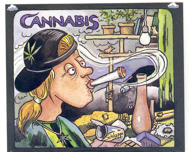 Cannabis - Nachher