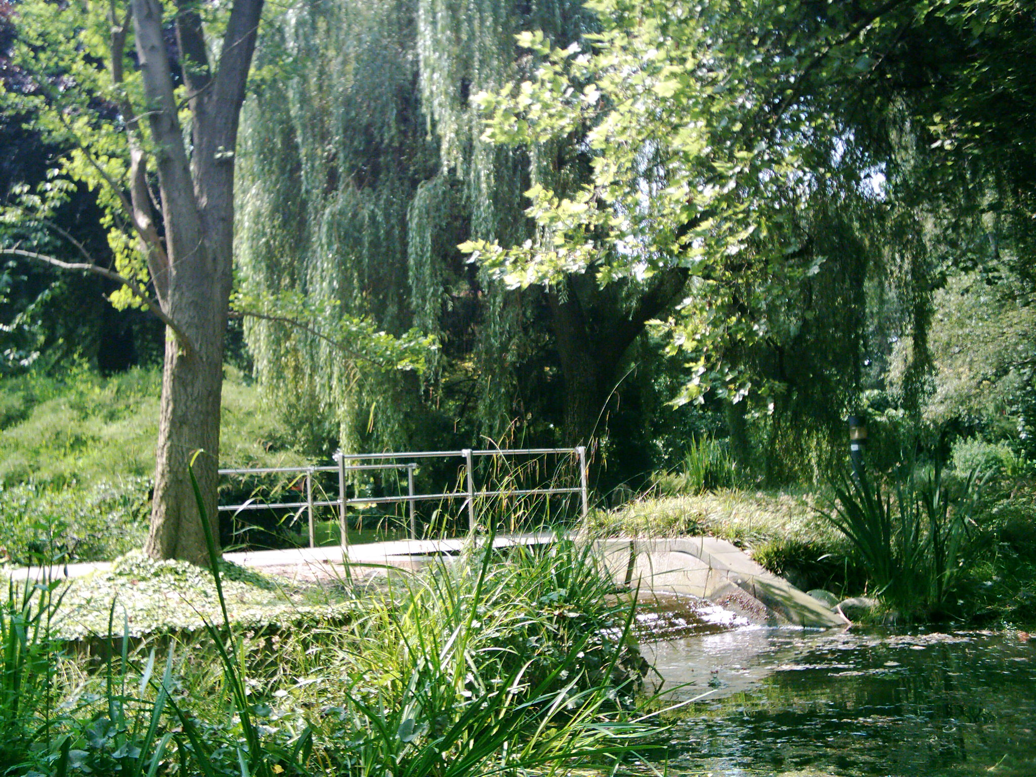 Brücke