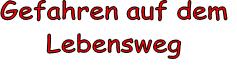 Gefahren auf dem Lebensweg