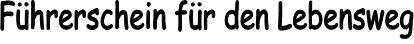 Führerschein für den Lebensweg